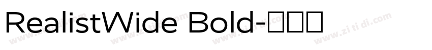 RealistWide Bold字体转换